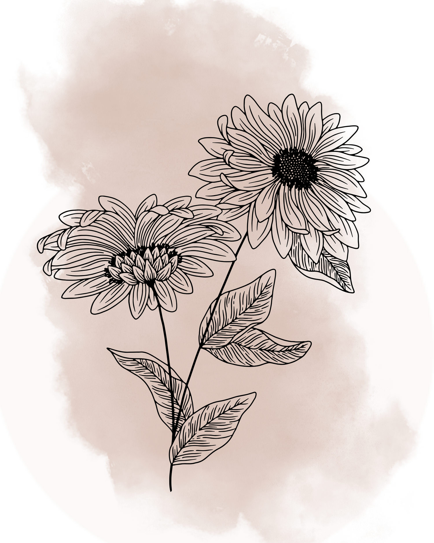 Botanicals/ Floral