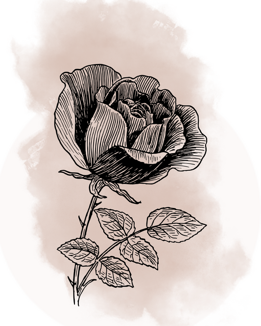 Vintage Rose Botanical Line Art – Minimalist Floral Wall Print in Blush Beige (Digital Download)