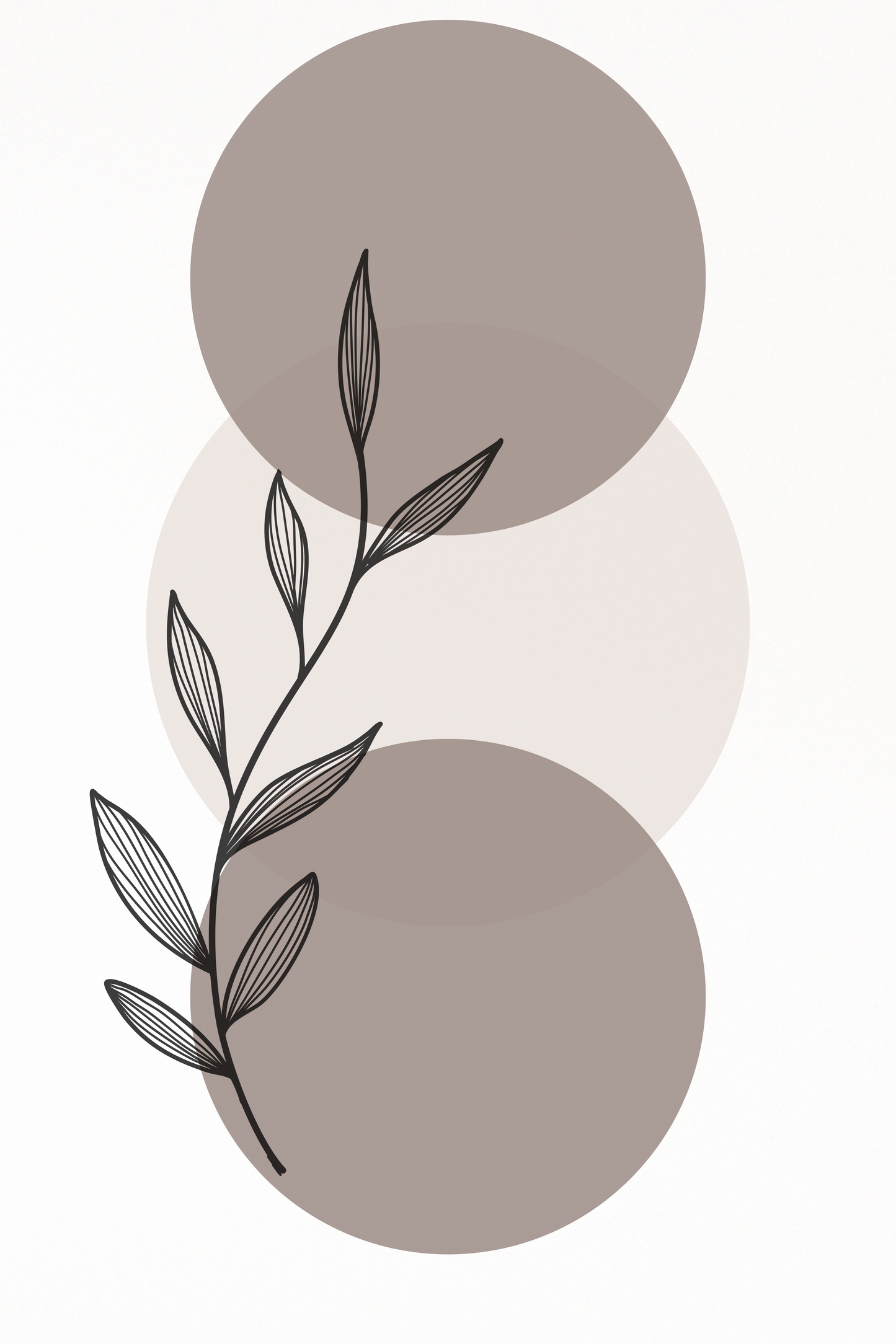 Rooted Calm | Minimalist Botanical Wall Art